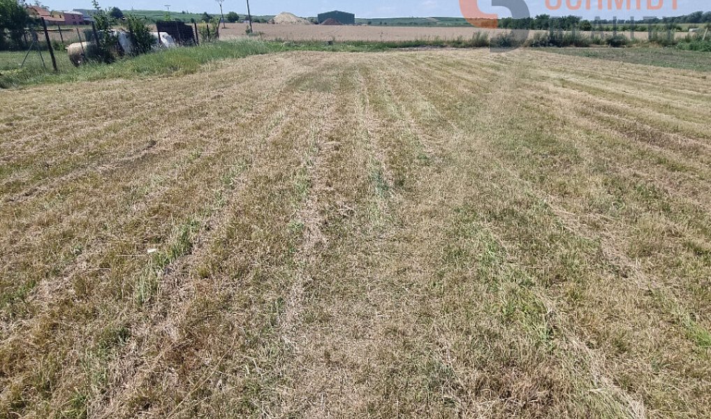 Prodej komerčního pozemku 1 550 m², Dolní Dunajovice – náhled fotky 5