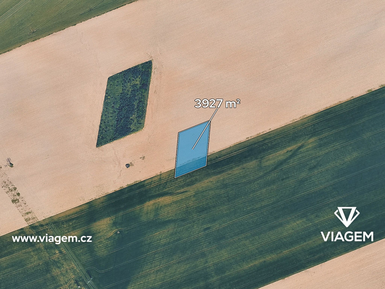 Prodej pole 654 m² – fotografie 2