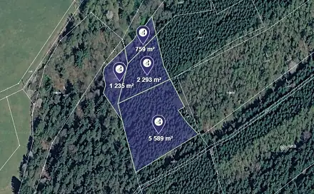 Prodej lesa 3 292 m², Větřní, okres Český Krumlov