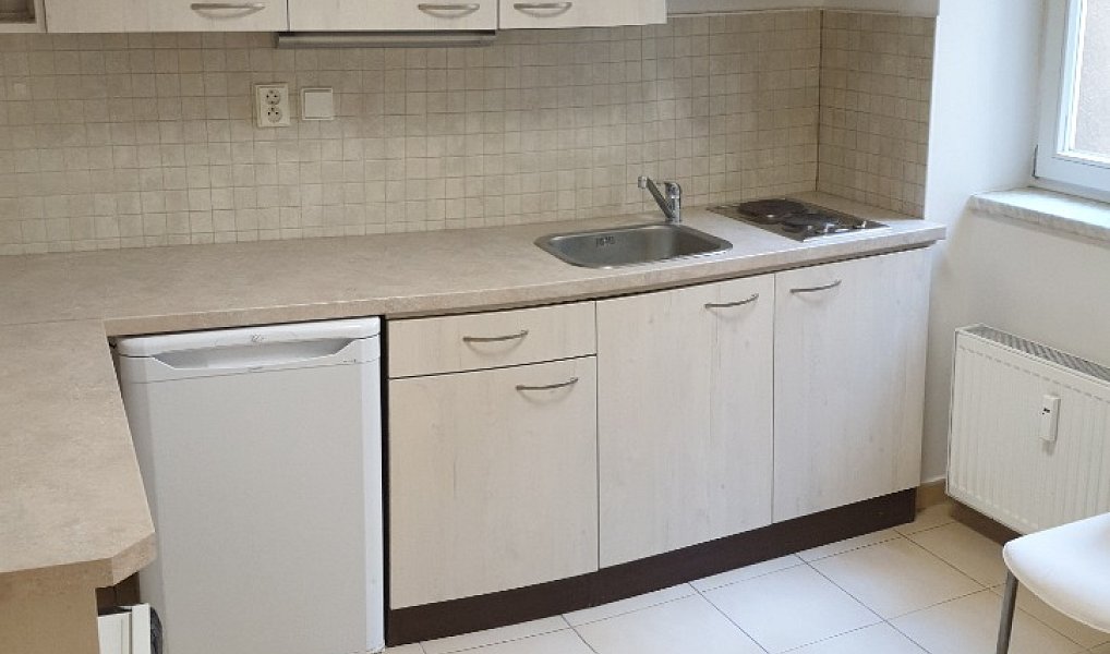 Pronájem bytu 2+1 65 m², Brno – náhled fotky 3