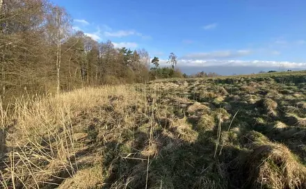 Dražba louky 448 m², Okna