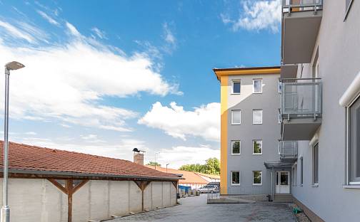 Pronájem bytu 1+kk 34 m², Kaštanová, Milovice - Mladá, okres Nymburk