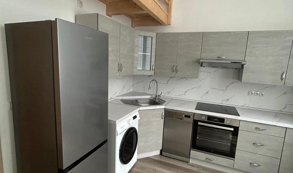 Pronájem bytu 1+kk 30 m², Teplice – fotka 1 z 17