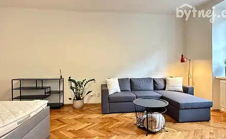 Pronájem bytu 2+1 74 m², Kotlářská, Brno - Veveří