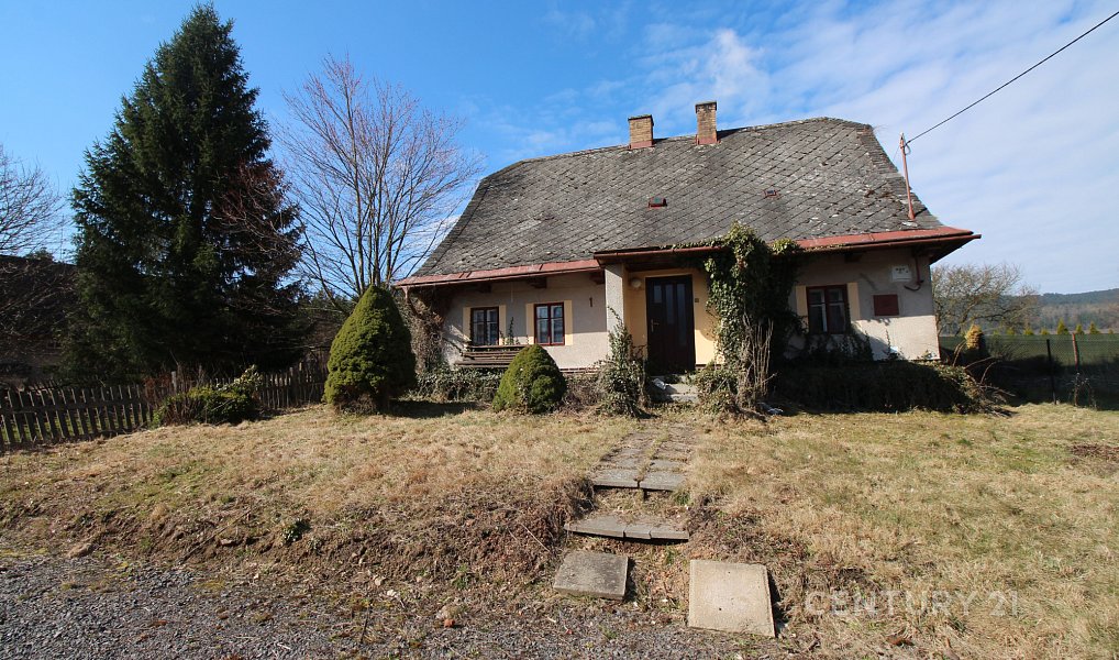 Prodej stavebního pozemku 4 371 m², Červená Voda – náhled fotky 2