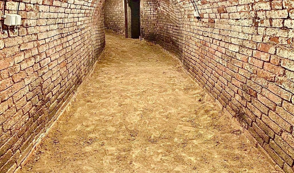 Nový Šaldorf - Sedlešovice, lisovna, 145 m2, pozemek 978 m2 vinný sklep, Nový Šaldorf-Sedlešovice – náhled fotky 7