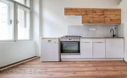 Pronájem bytu 1+1 35 m²