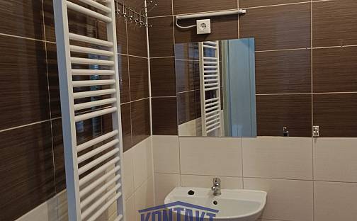 Pronájem bytu 4+1 122 m², Horní Brašov, Týn nad Vltavou, okres České Budějovice