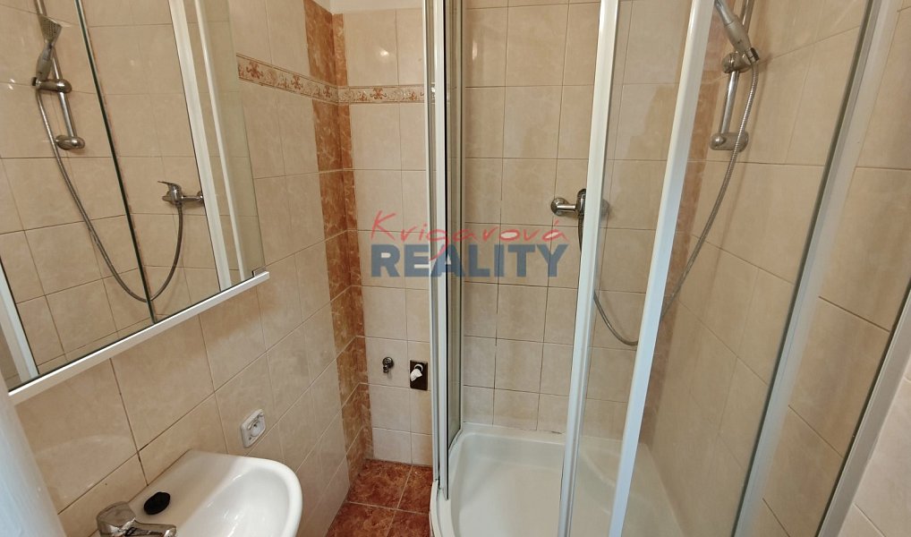 Pronájem bytu 2+1 63 m², Bujanov – náhled fotky 11