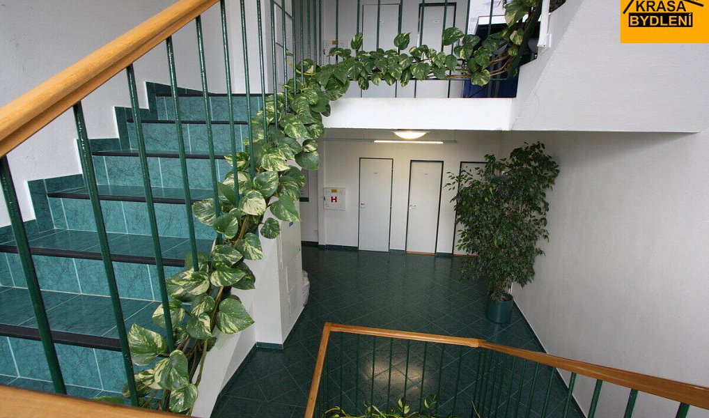 Pronájem kanceláře 17 m², Olomouc – náhled fotky 5