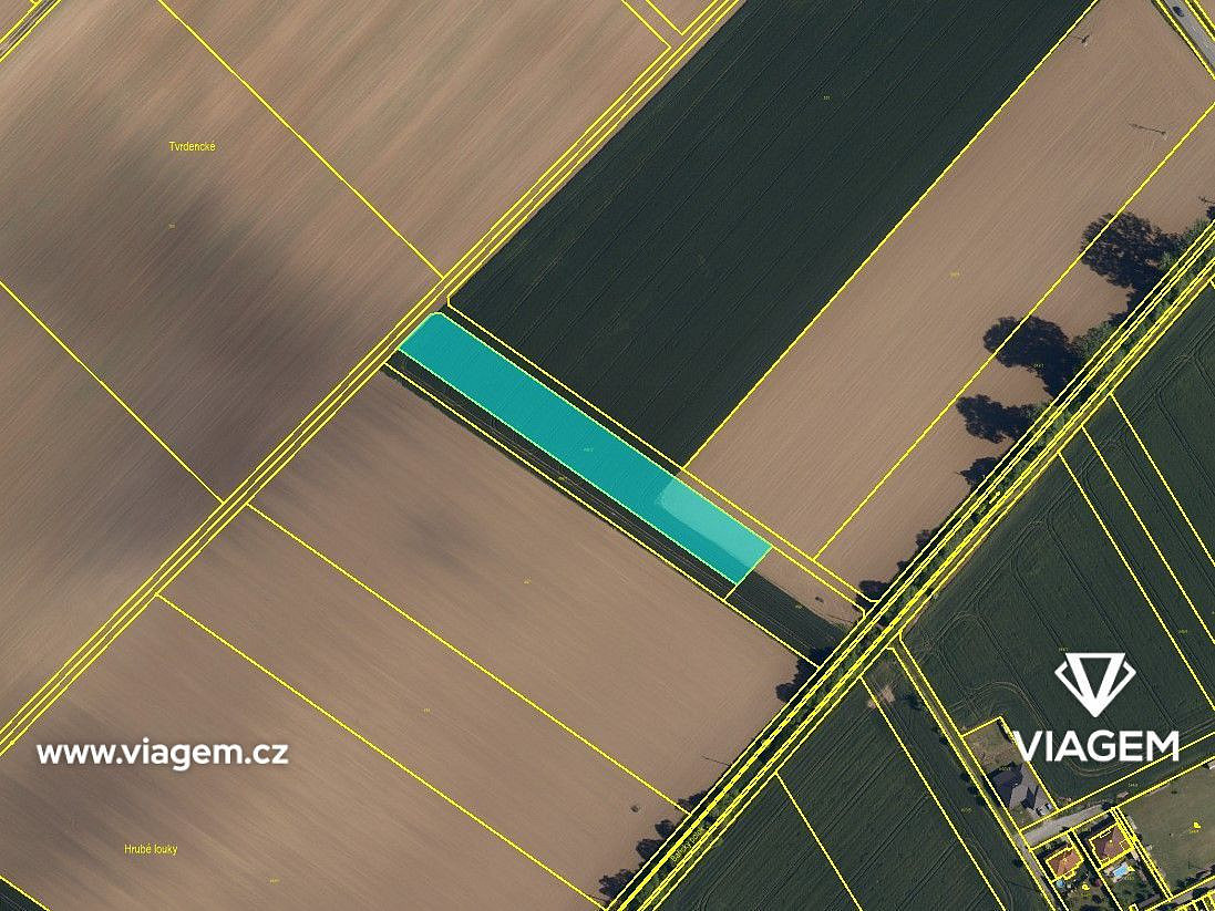 Prodej pole 2 217 m² – fotografie 3