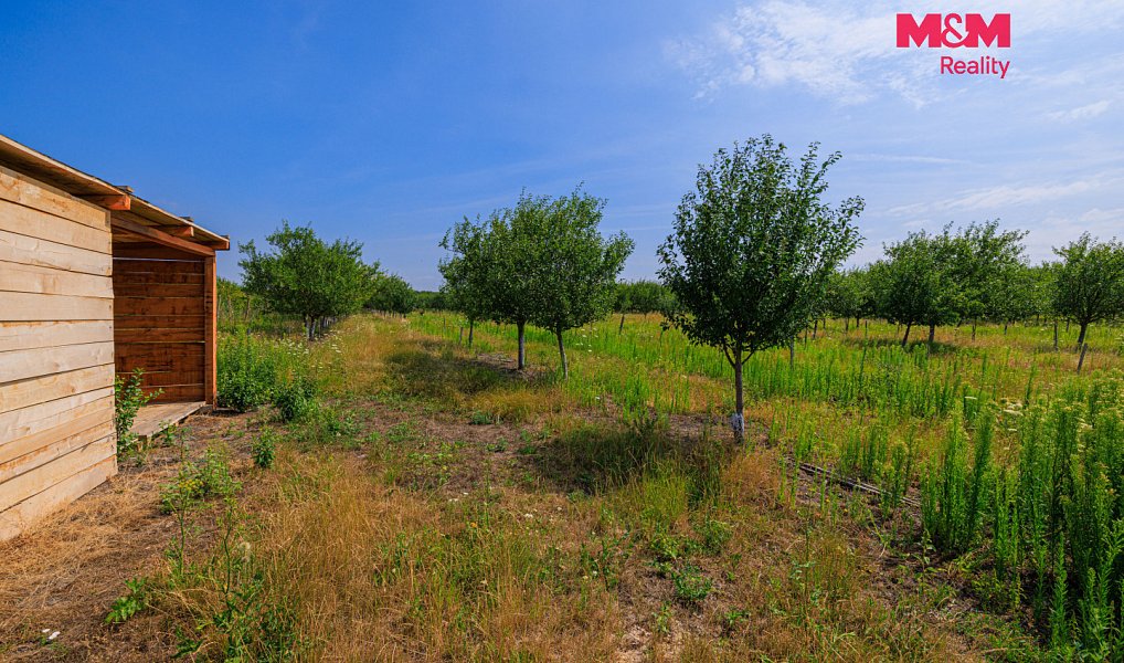 Prodej pole 53 078 m², Rakvice – náhled fotky 6
