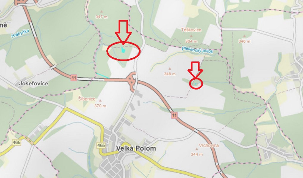Prodej lesa 3 922 m², Velká Polom – náhled fotky 11