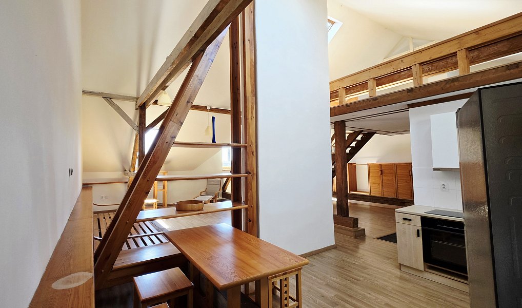 Pronájem bytu 1+kk 106 m², Plzeň – náhled fotky 12