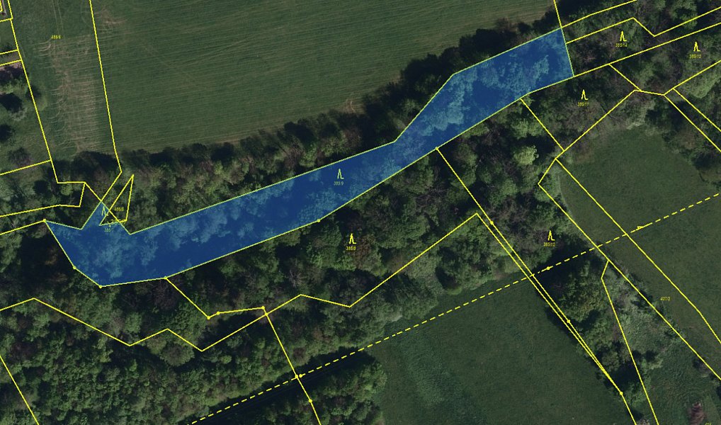 Prodej lesa 5 193 m², Vělopolí – fotka 1 z 11