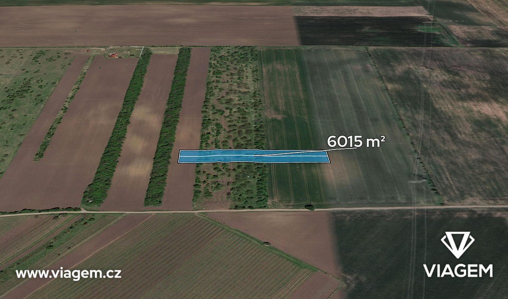 Prodej pole 1 002 m², Hrušky – fotka 1 z 5