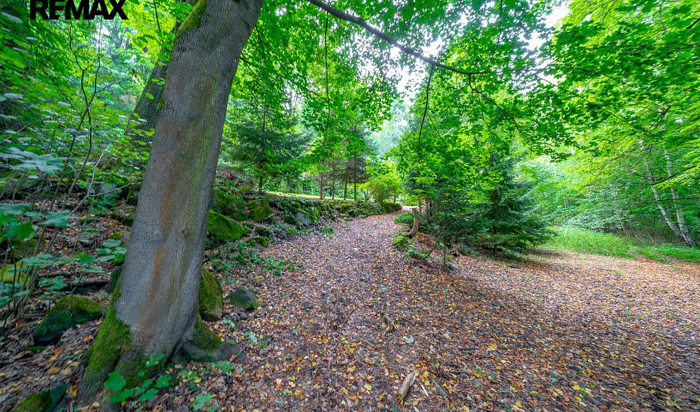 Prodej zahrady 1 398 m², Benešov nad Ploučnicí – náhled fotky 6