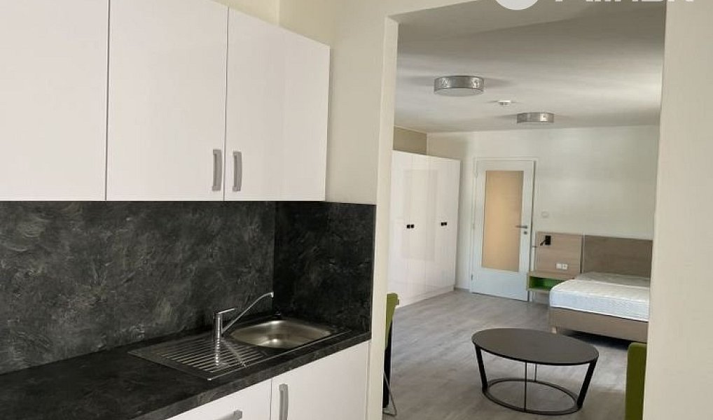 Pronájem bytu 1+kk 49 m², Opava – náhled fotky 2