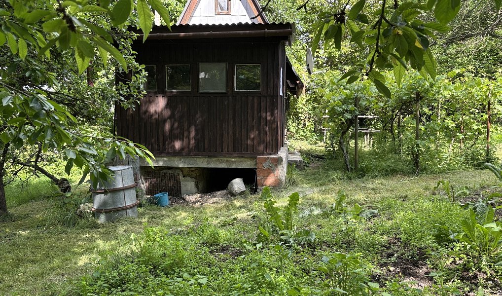 Prodej chaty/chalupy 20 m² s pozemkem 1 500 m², Luka nad Jihlavou – náhled fotky 7