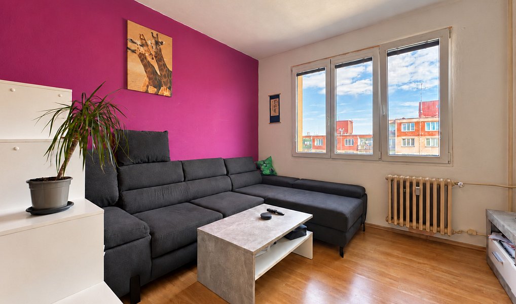 Pronájem bytu 1+1 39 m², Plzeň – náhled fotky 3