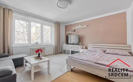 Pronájem bytu 1+1 39 m²