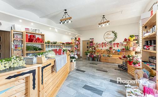 Prodej komerčního objektu (jiného typu) 198 m², 28. října, Ostrava - Mariánské Hory