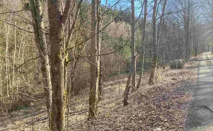 Prodej pole 10 377 m², Čachrov - Javorná, okres Klatovy