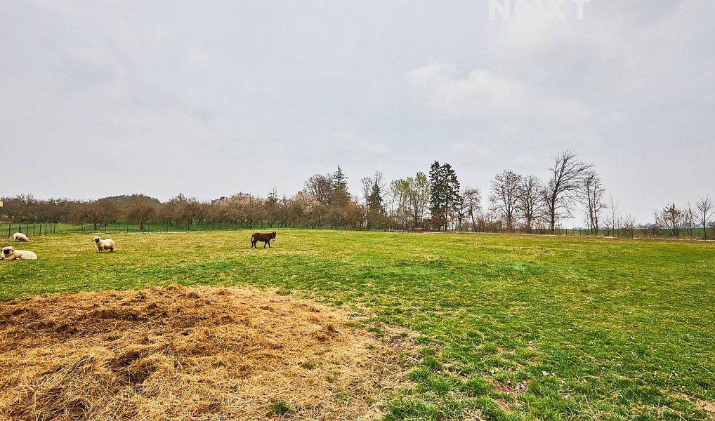 Prodej domu 150 m² s pozemkem 2 068 m², Předslavice – náhled fotky 24