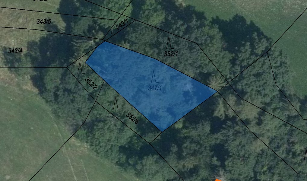 Prodej lesa 637 m², Libina – fotka 1 z 3