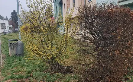 Dražba pozemku 243 m², Přezletice