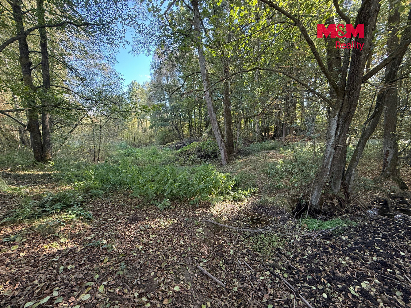 Prodej vodní plochy 24 434 m² – fotografie 3