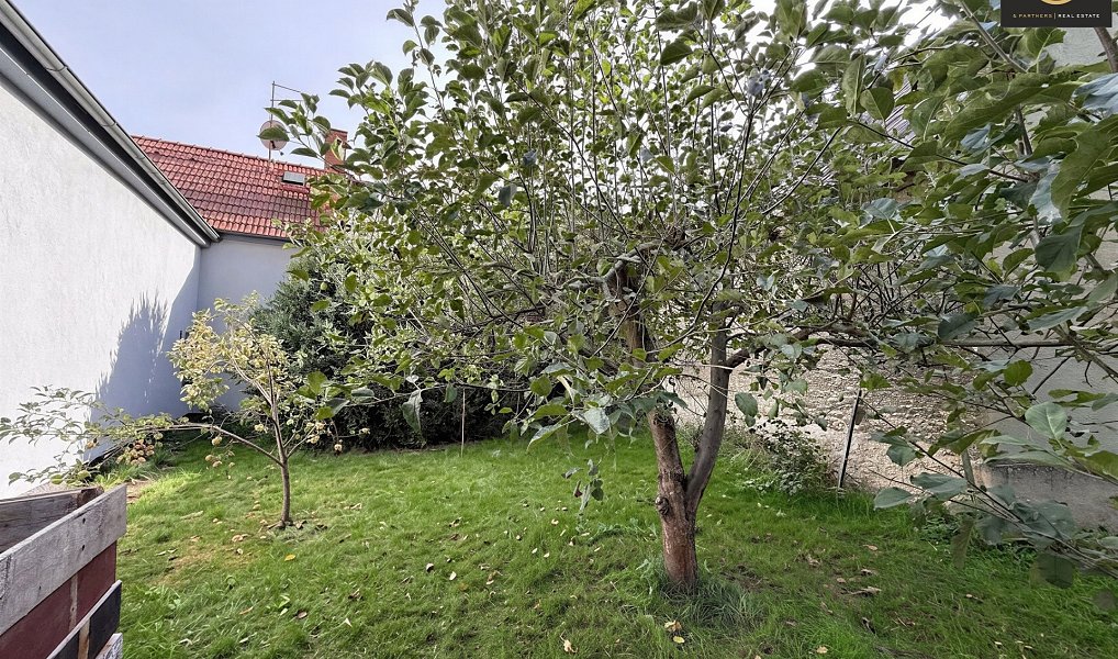 Prodej domu 63 m² s pozemkem 523 m², Pavlíkov – náhled fotky 5