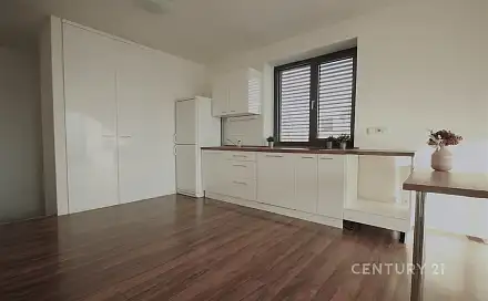 Pronájem bytu 2+kk 64 m², Ulrychova, Brno - Komín