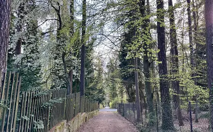 Prodej stavebního pozemku 1 761 m², Náměstí, Jevany, okres Praha-východ