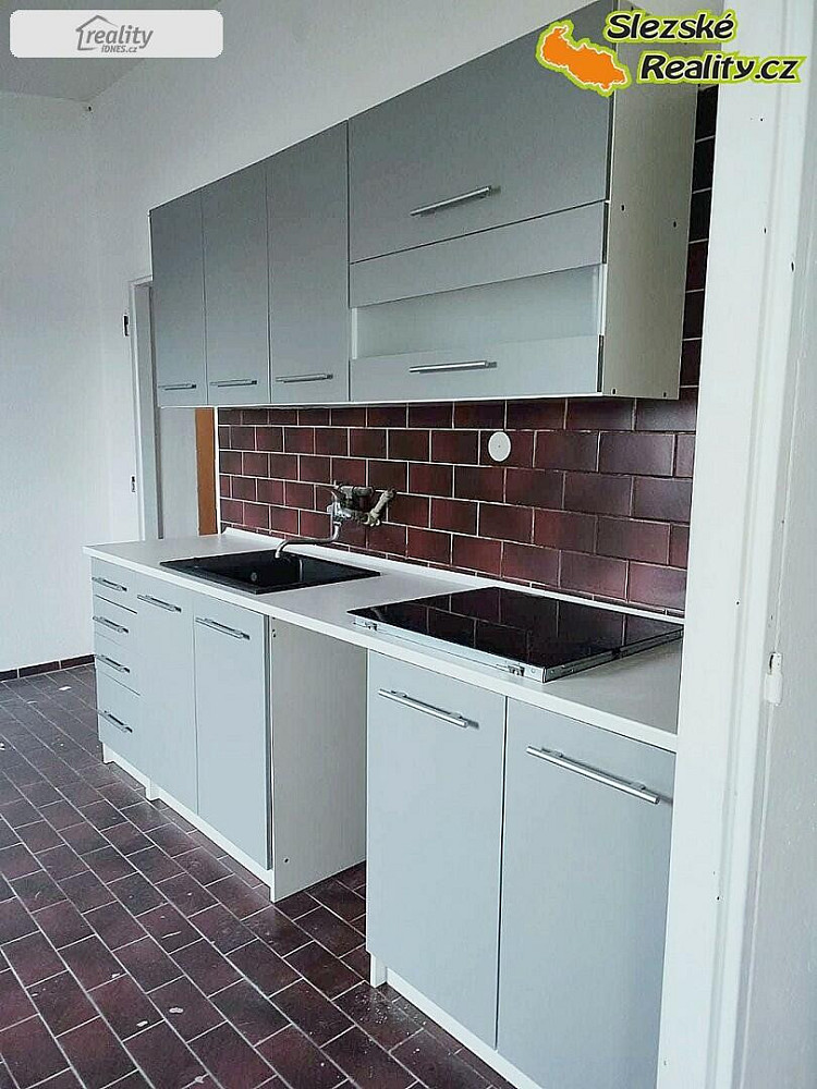 Pronájem bytu 1+1 50 m² - Widok 3