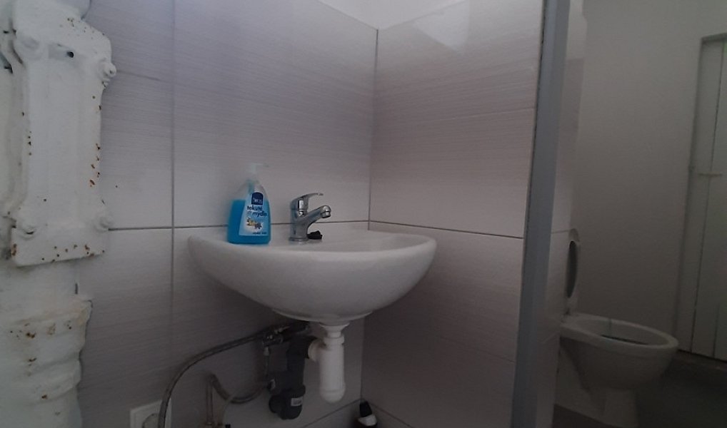 Pronájem komerčního objektu (jiného typu) 50 m², Lužany – náhled fotky 8