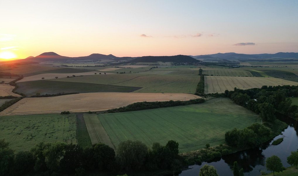 Prodej louky 1 385 m², Počedělice – náhled fotky 8