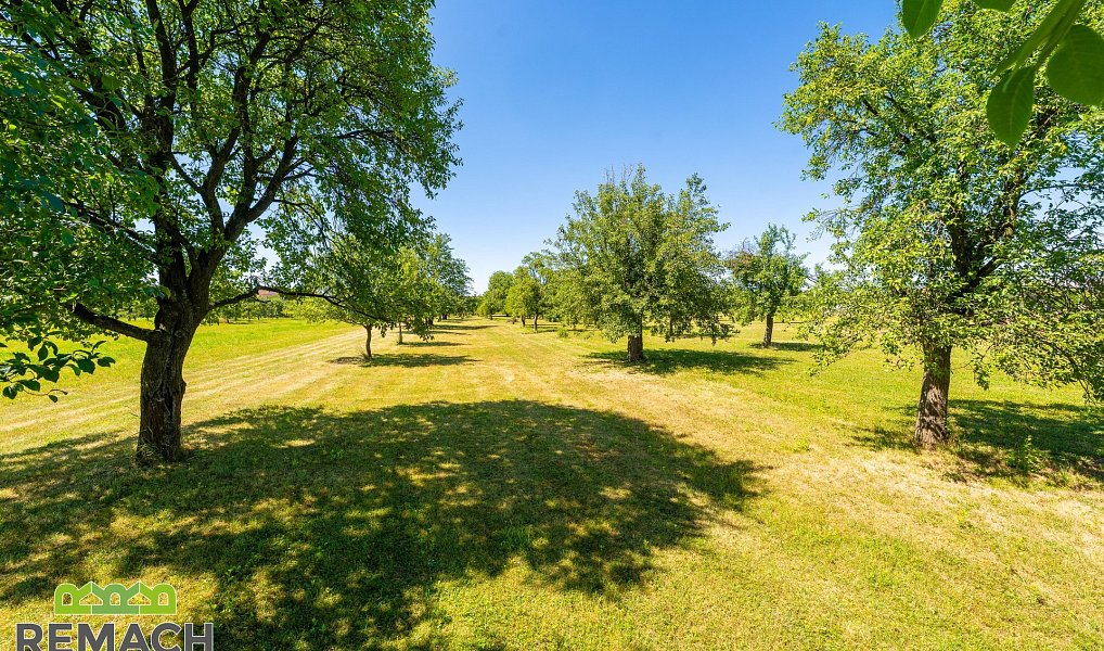 Prodej domu 249 m² s pozemkem 4 452 m², Babice – náhled fotky 8