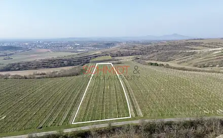 Prodej pozemku 11 748 m², Němčičky, okres Břeclav