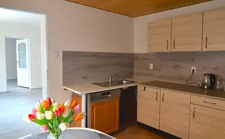 Pronájem bytu 2+1 63 m², Hlavní, Dolní Kounice, okres Brno-venkov