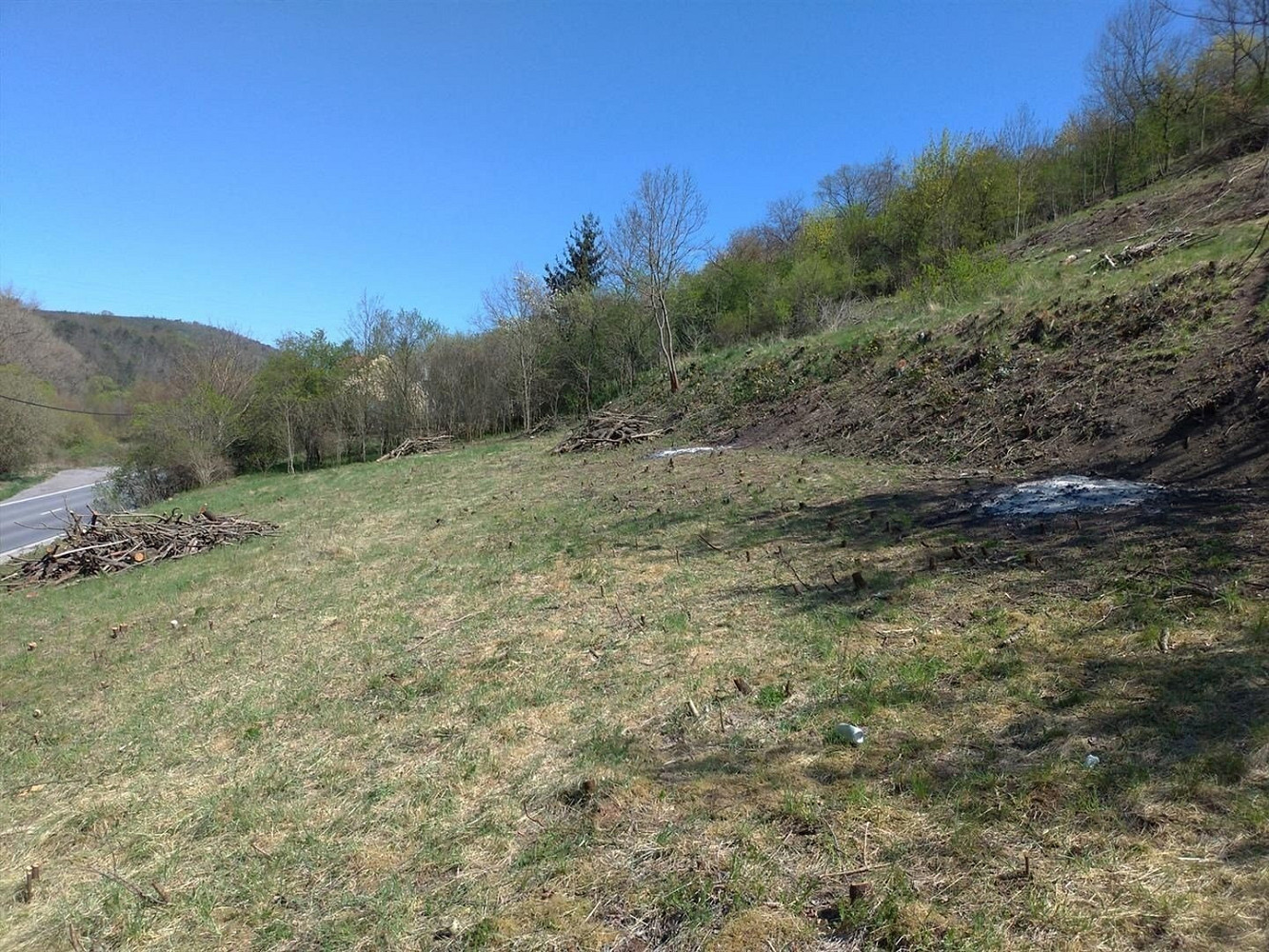 Prodej stavebního pozemku 15 999 m² — photo 4