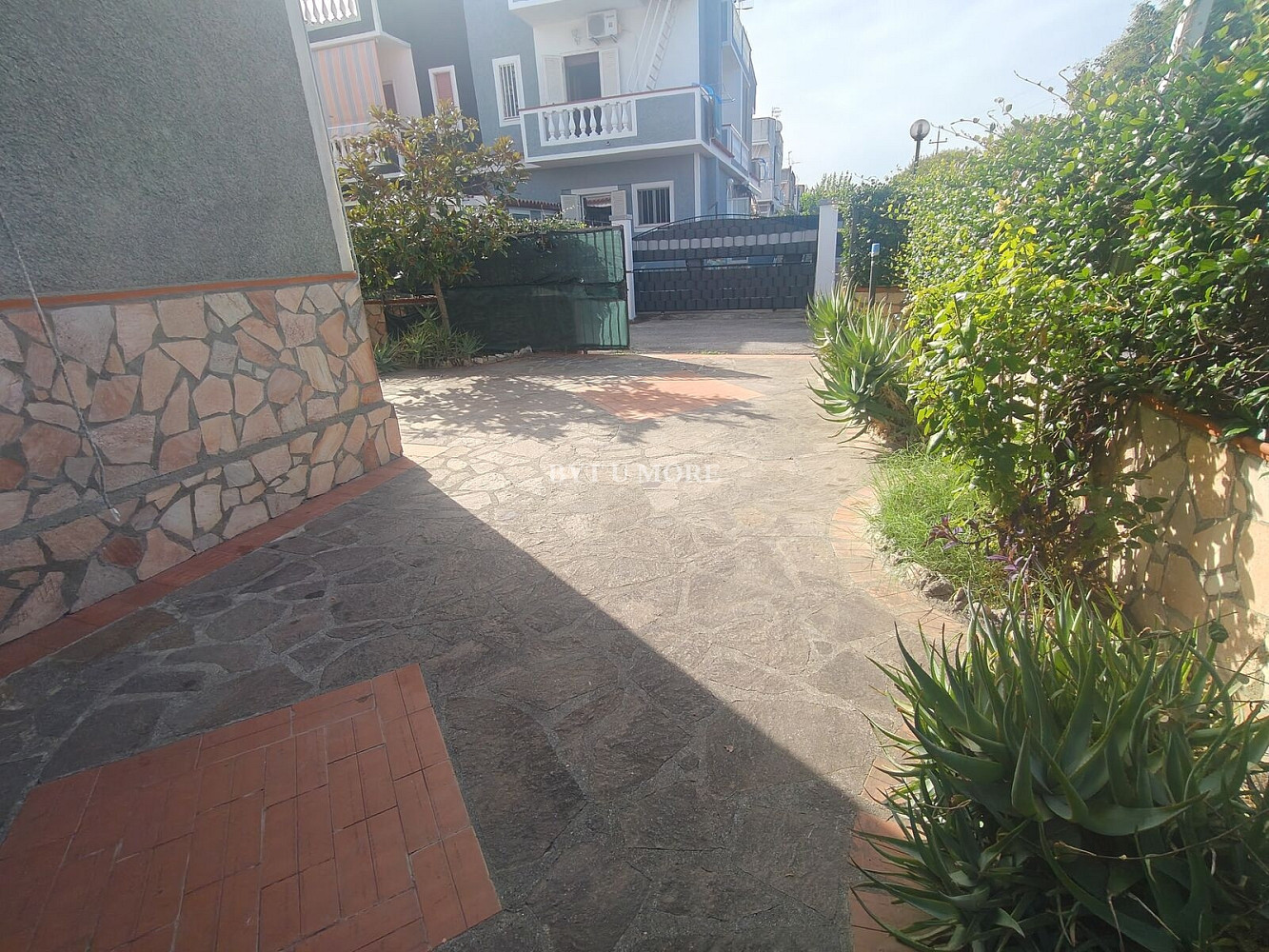 Fotka 12 z 17