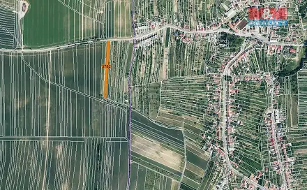 Prodej pole 523 m², Ježov, okres Hodonín