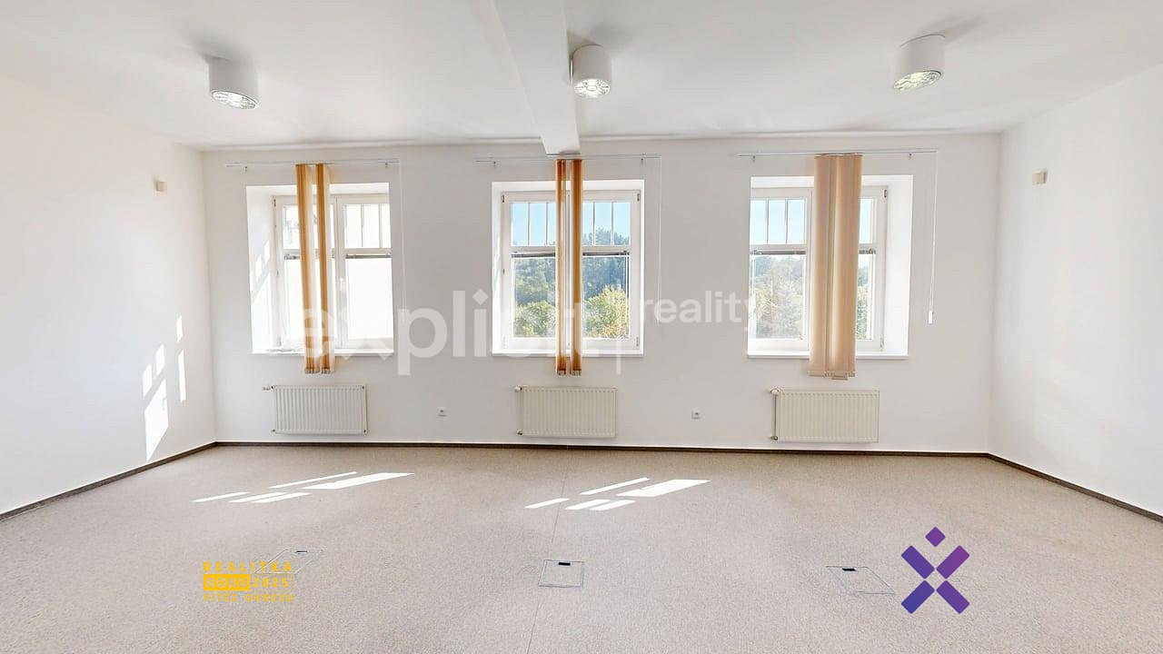 Pronájem kanceláře 460 m² – fotografie 4