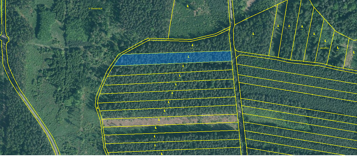 Prodej lesa 4 751 m²