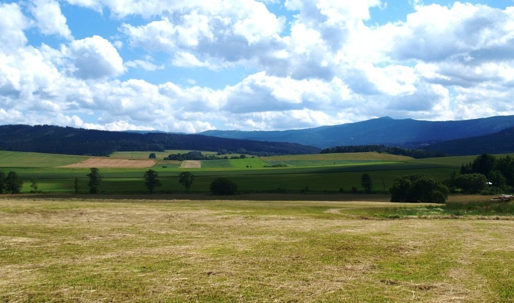 Prodej pole 88 519 m², Nýrsko – náhled fotky 4