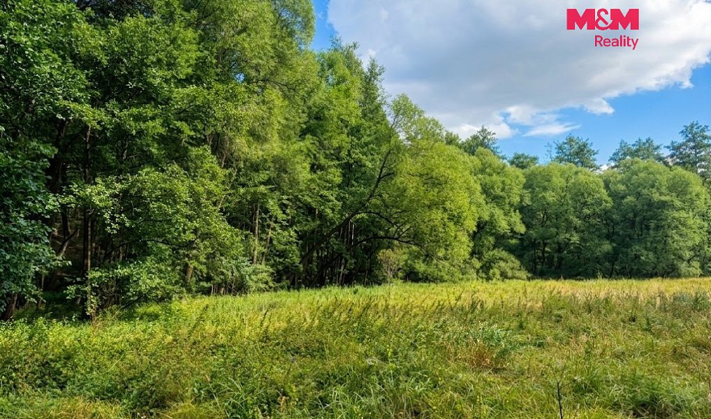 Prodej louky 10 113 m², Kožlany – náhled fotky 7