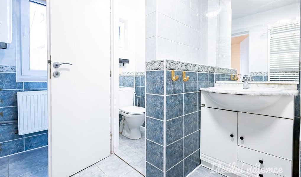 Pronájem domu 140 m² s pozemkem 103 m², Brandýs nad Labem-Stará Boleslav – náhled fotky 25