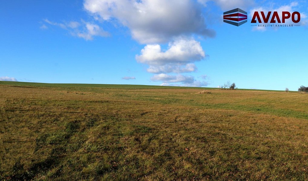 Prodej stavebního pozemku 4 812 m², Větřkovice – náhled fotky 4