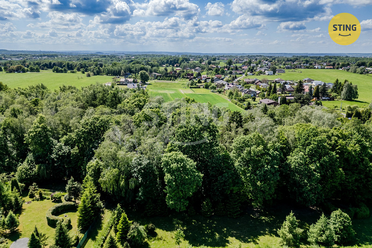 Prodej lesa 1 028 m² – fotografie 5
